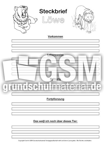 Löwe-Steckbriefvorlage-sw.pdf